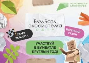 БумБатл.